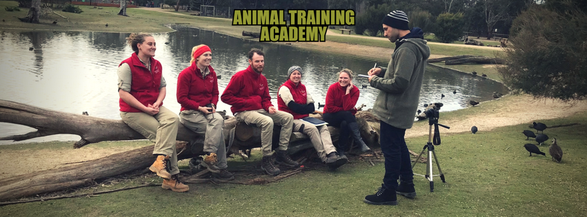 Animal Training Academy Zoo