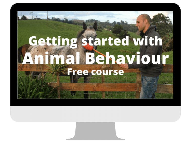 ATA Free Access Animal Training Academy