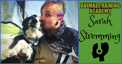 Sarah Stremming – The Cognitive Canine [Episode 107] | Animal Training ...