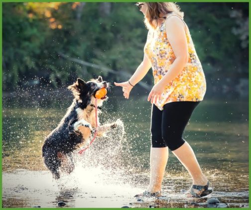 Sarah Stremming – The Cognitive Canine [Episode 107] | Animal Training ...