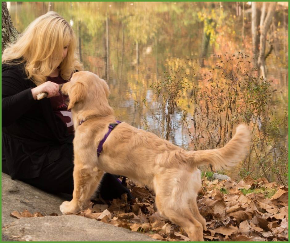 Michelle Mullins Honest to Dog [Episode 31] Animal Training Academy