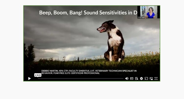 Beep, Boom, Bang! Sound Sensitivities in Dogs – Debbie Martin