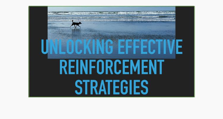 Unlocking Effective Reinforcement Strategies [Sarah Stremming]