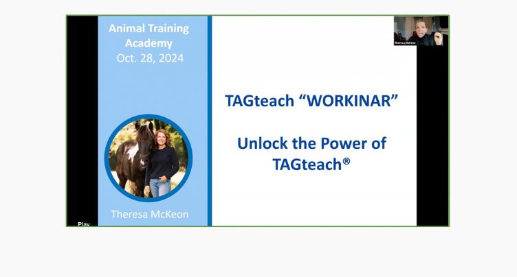 Unlock the Power of TAGteach: – Workinar!