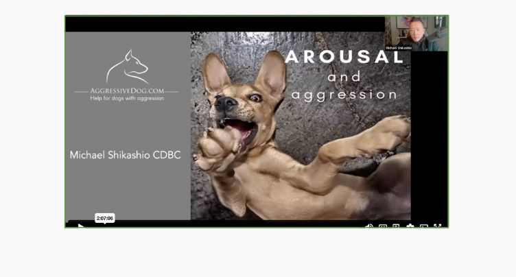 Arousal & Aggression with Michael Shikashio