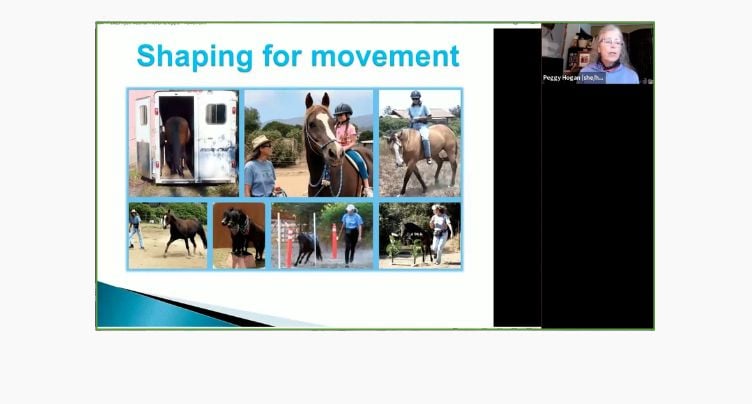 Shaping Movement in Horses with Peggy Hogan
