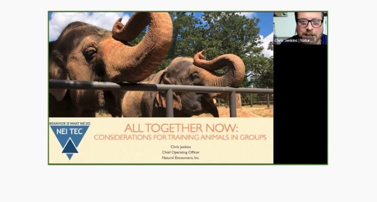 Considerations for Training Groups of Animals with Chris Jenkins