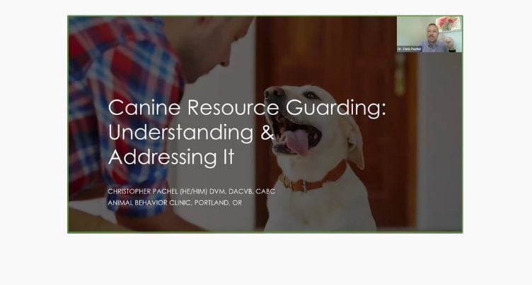 Don’t Bite The Hand That Feeds You: Understanding Resource Guarding with Dr Chris Pachel