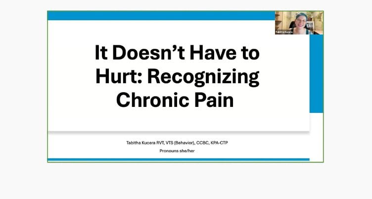Recognizing Chronic Pain and How It Affects Behavior with Tabitha Kucera