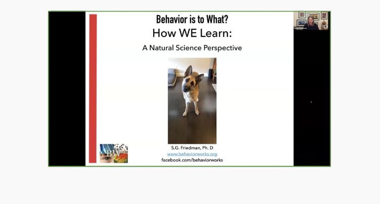 How We Learn with Dr Susan Friedman