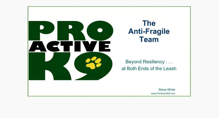 The Anti-Fragile Team: Beyond Resiliency with Steve White