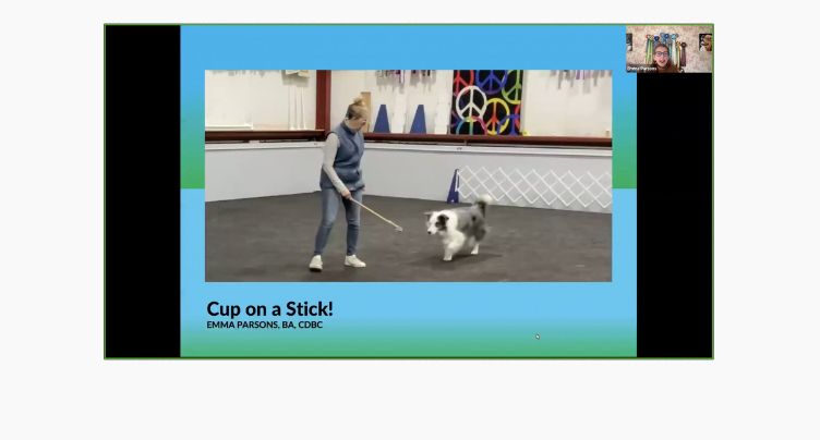 Cup on a Stick with Emma Parsons