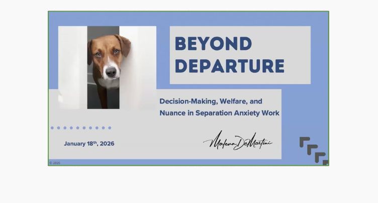 Beyond the Protocol [Separation Anxiety] with Malena Demartini