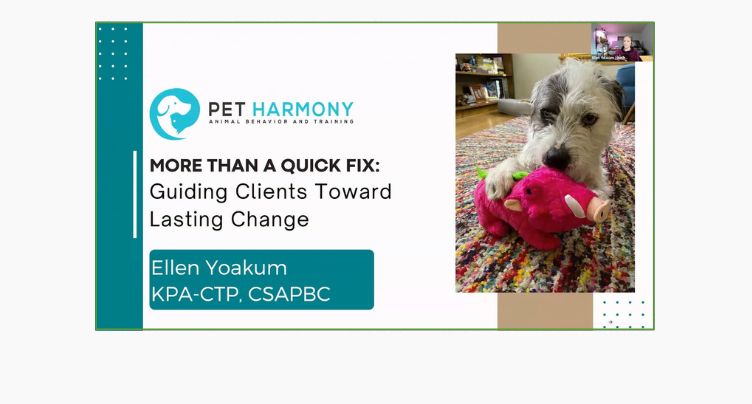 More Than a Quick Fix with Ellen Yoakum