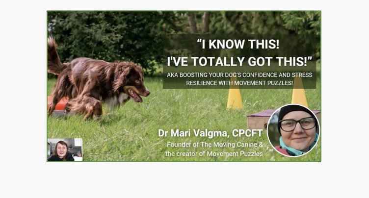 Movement Puzzles with Mari Valgma