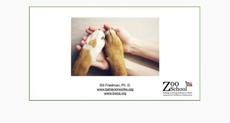 Getting to “Yes!” with Dr Susan Friedman