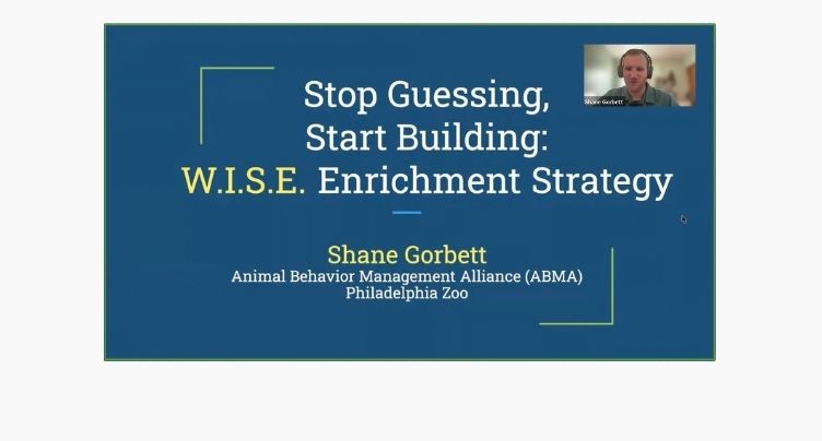 The WISE Enrichment Strategy with Shane Gorbett