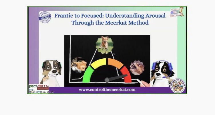 Understanding Arousal Through the Meerkat Method